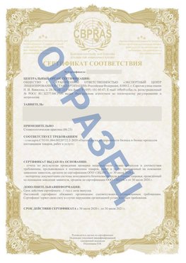 Образец Сертификат СТО 01.064.00220722.2-2020 Дзержинск Сертификат СТО 01.064.00220722.2-2020 